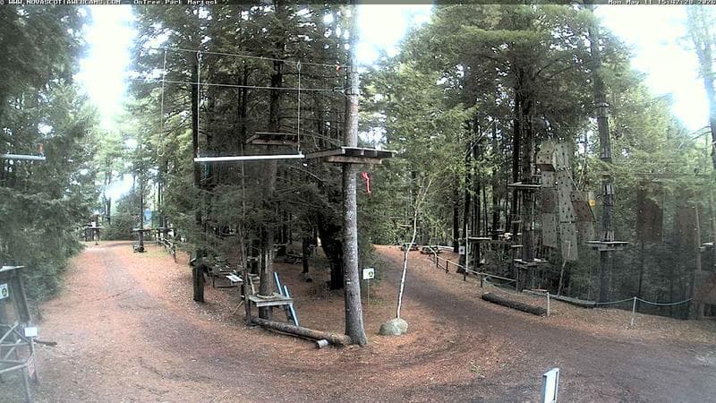 Ontree Park
