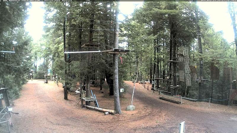 Ontree Park