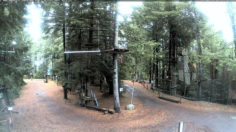 Ontree Park