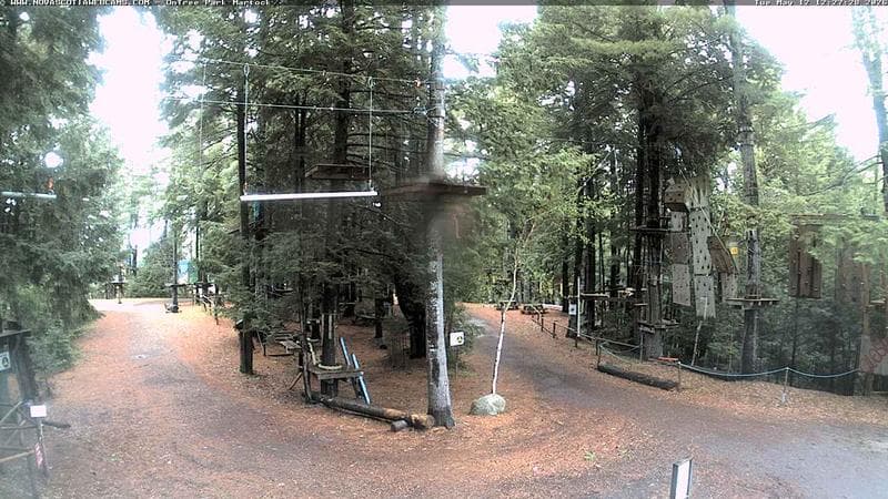 Ontree Park
