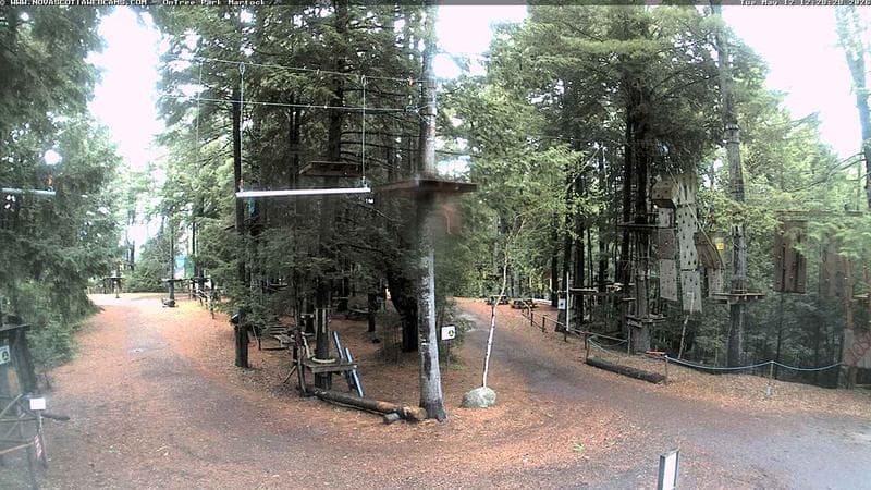 Ontree Park
