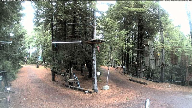 Ontree Park