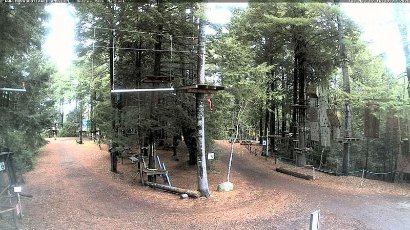Ontree Park