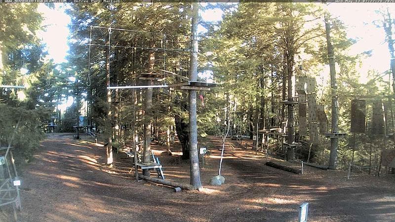 Ontree Park