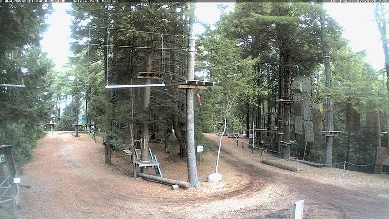Ontree Park