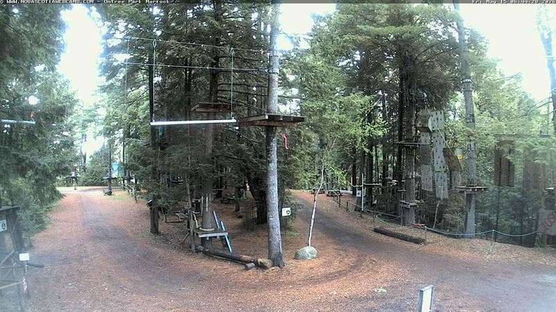 Ontree Park