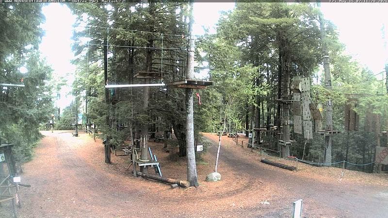 Ontree Park