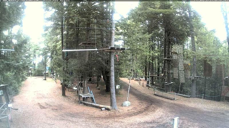 Ontree Park