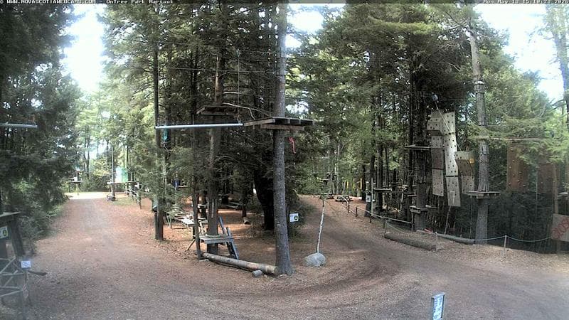 Ontree Park