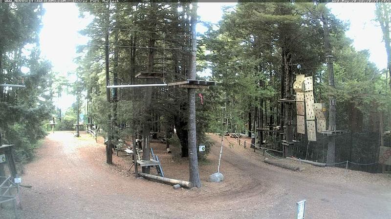 Ontree Park