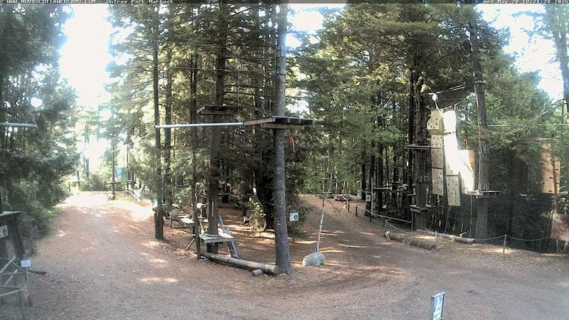Ontree Park
