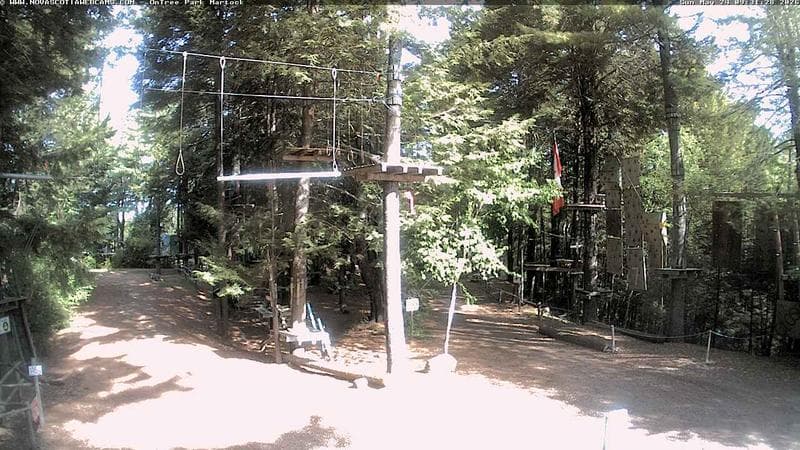 Ontree Park