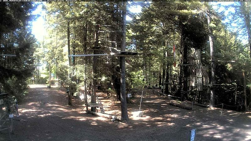 Ontree Park
