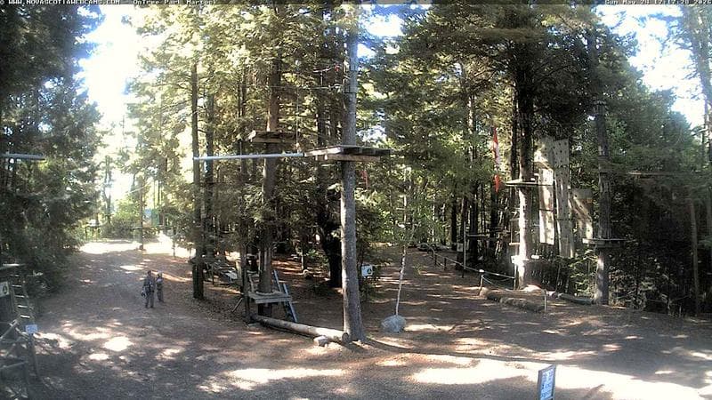 Ontree Park