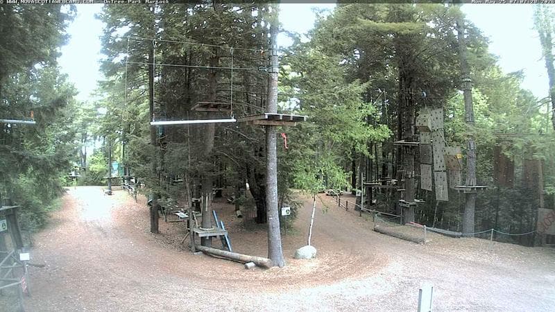 Ontree Park