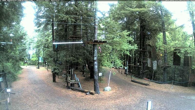 Ontree Park