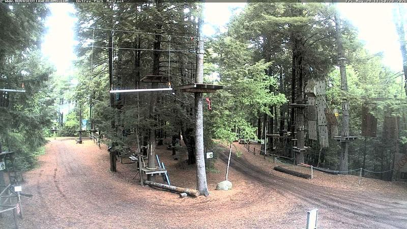 Ontree Park