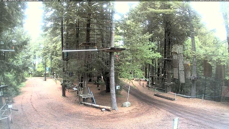 Ontree Park