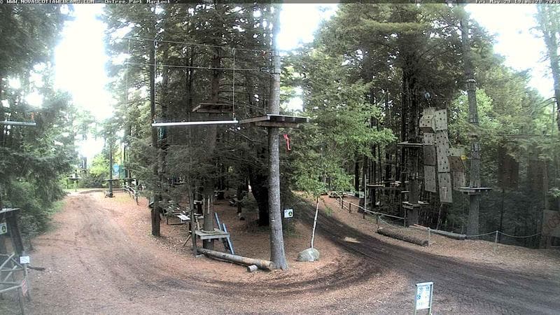 Ontree Park