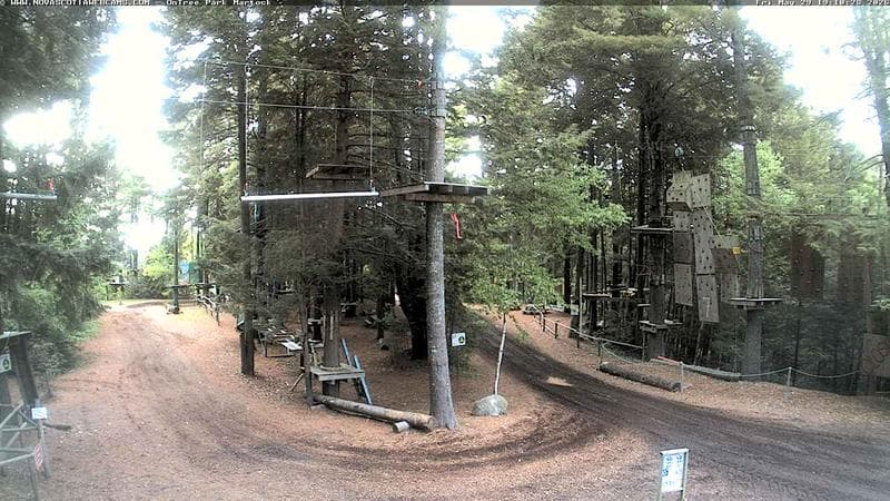 Ontree Park