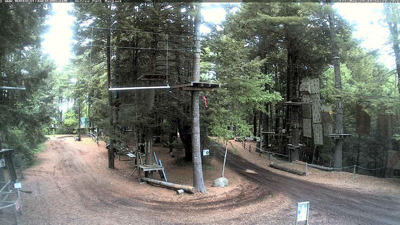 Ontree Park
