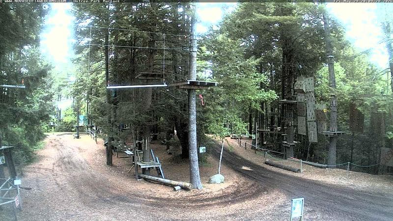Ontree Park