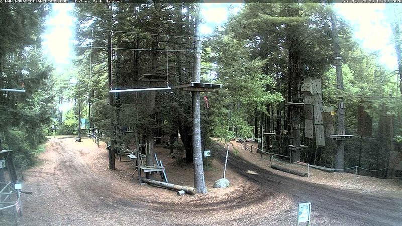 Ontree Park