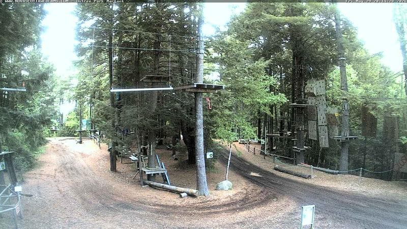 Ontree Park
