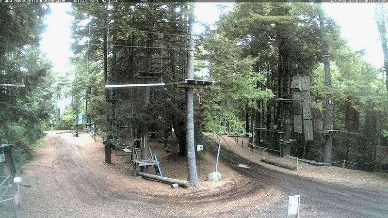 Ontree Park