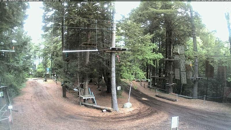 Ontree Park