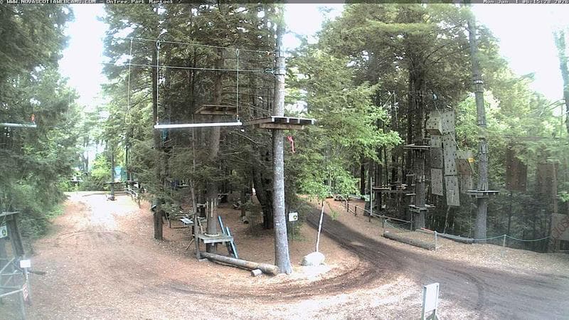 Ontree Park