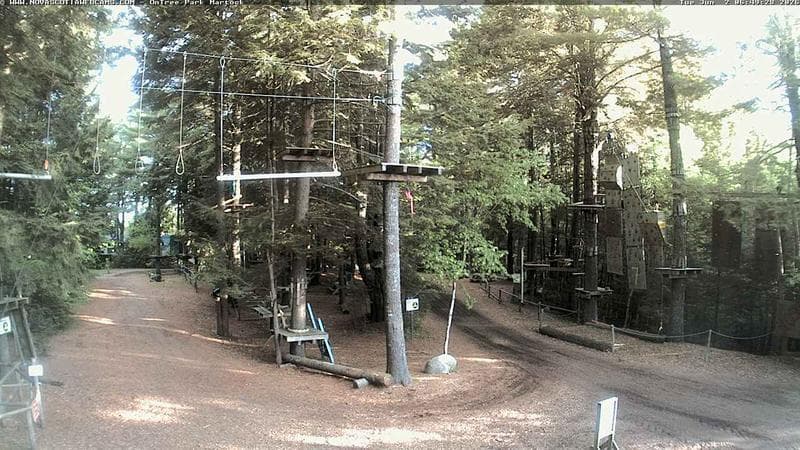Ontree Park