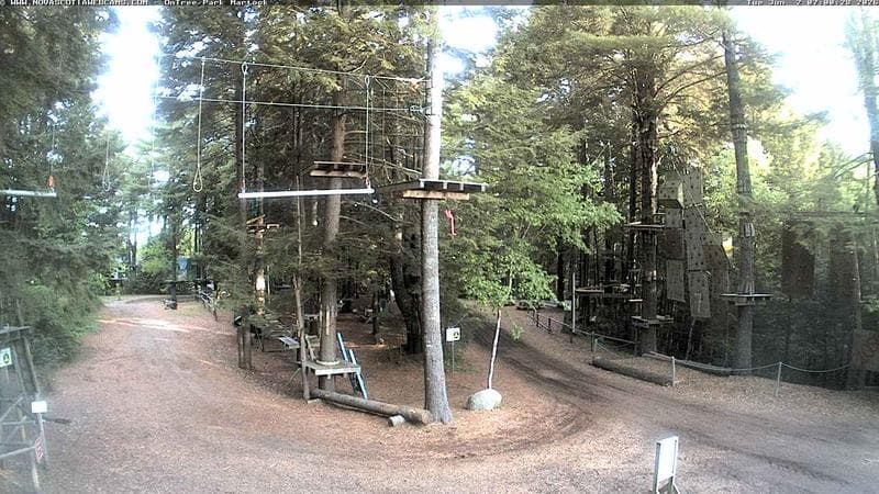 Ontree Park