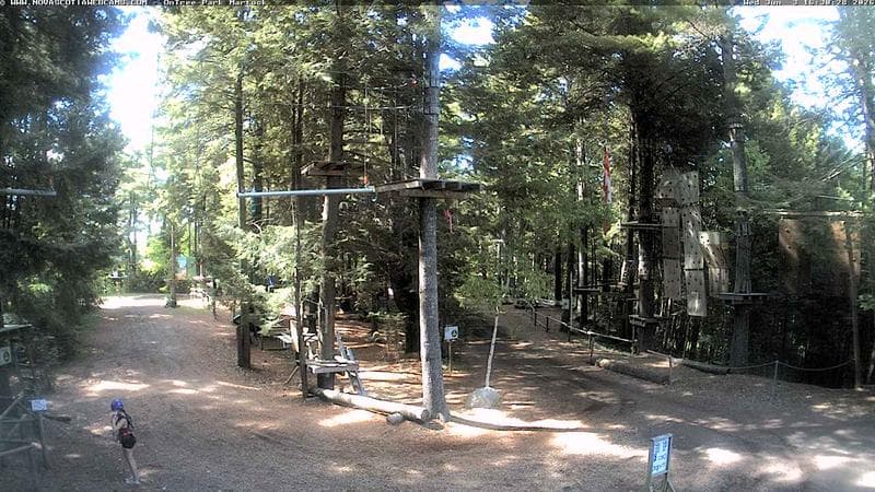Ontree Park