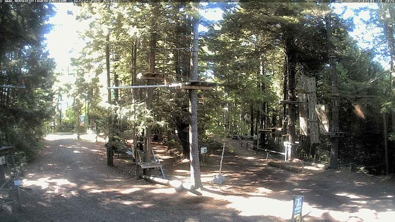Ontree Park