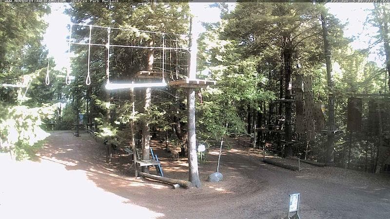 Ontree Park