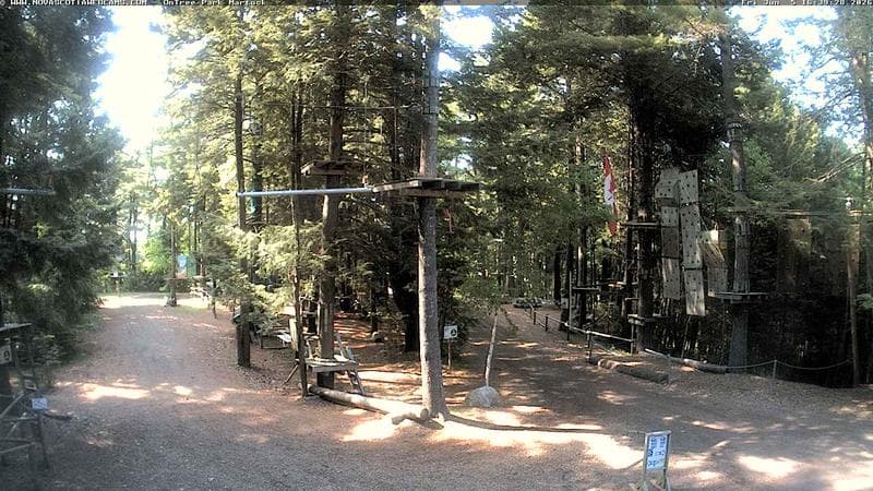 Ontree Park
