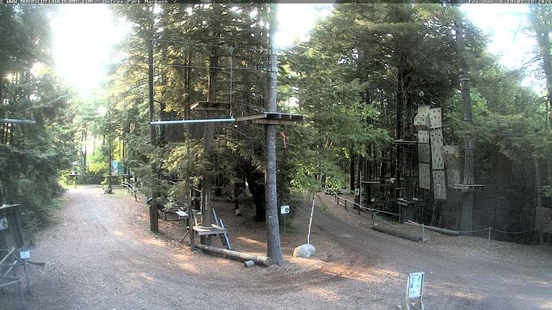 Ontree Park