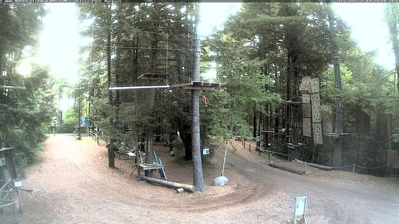 Ontree Park