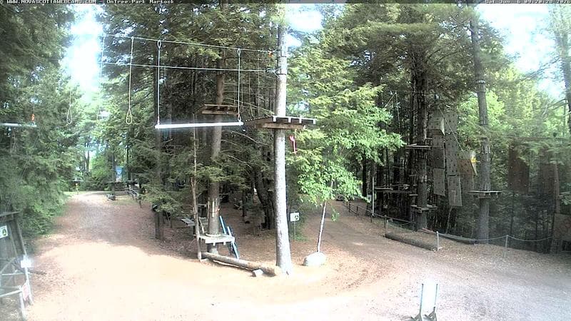 Ontree Park