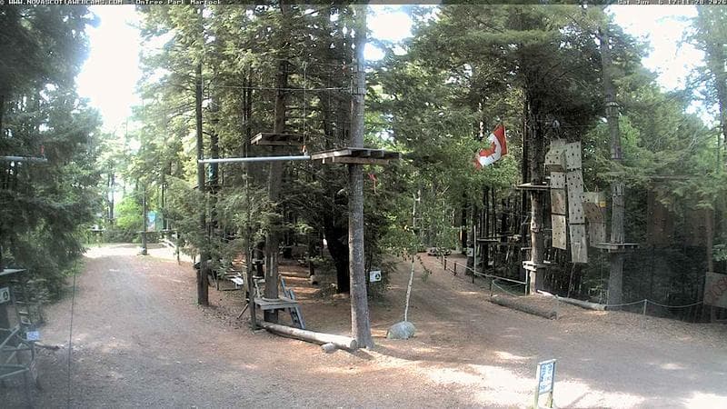 Ontree Park