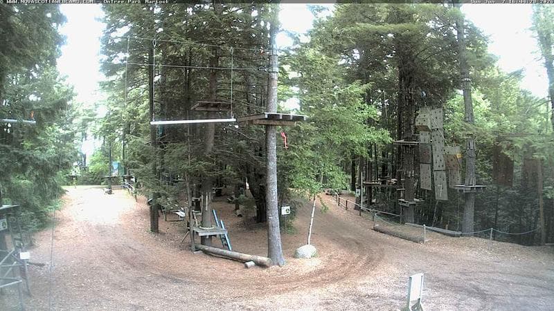 Ontree Park