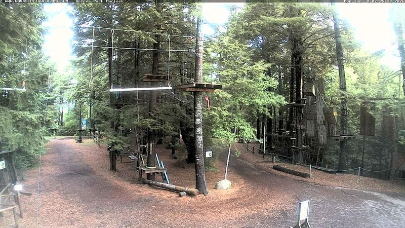 Ontree Park