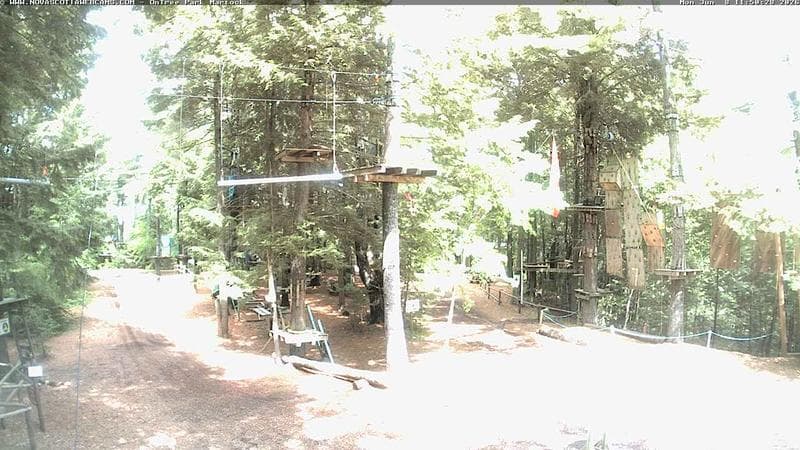 Ontree Park