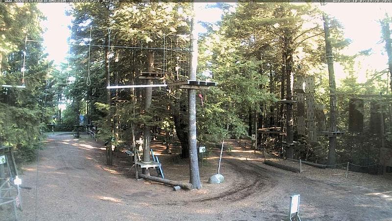 Ontree Park