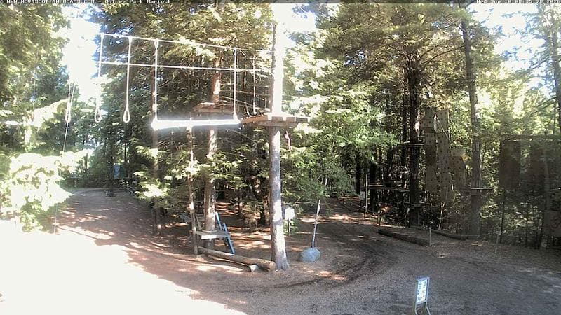 Ontree Park