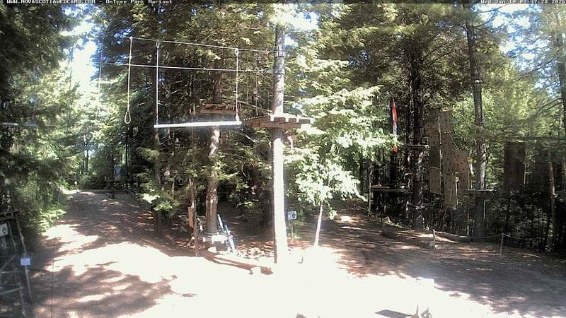 Ontree Park