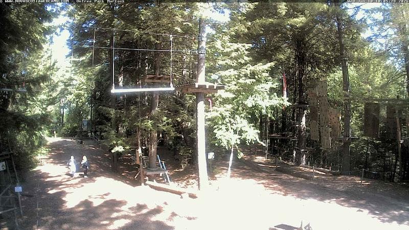 Ontree Park