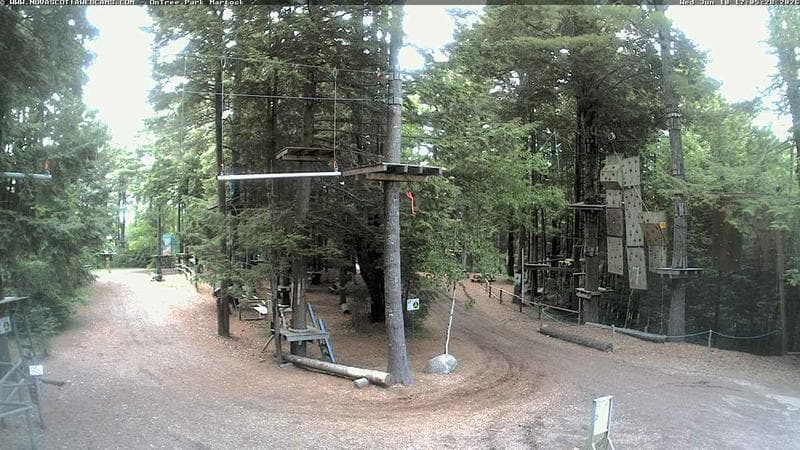 Ontree Park