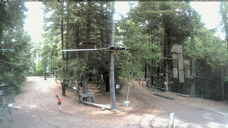 Ontree Park